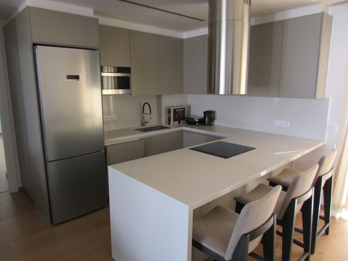 Amazing Fully Luxury Brand New 3 Three Bedroom Penthouse Apartment in Agia Zoni For Rent.